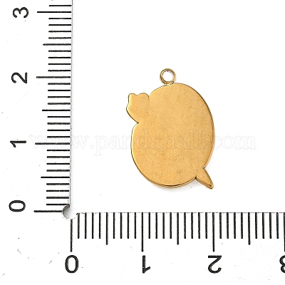 Подвески из нержавеющей стали 304 с эмалью STAS-I359-02G-02-1