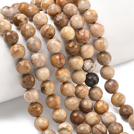 Природные окаменелое дерево бисер пряди G-L642-F09-8mm-1