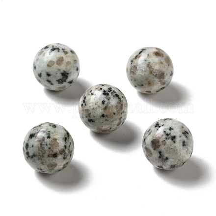 Natürliche Sesam Jaspis / Kiwi Jaspis Perlen G-A206-02-15-1