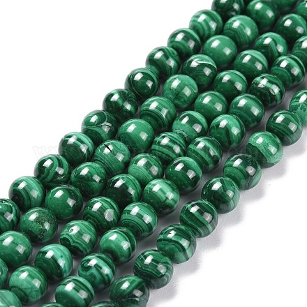 Brins de perles naturelles de malachite G-O152-47-8mm-A-1