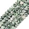 Natural Green Spot Jasper Beads Strands, Heart, 6x6x3mm, Hole: 1mm, about 69~71pcs/strand, 14.57''~14.96''(37~38cm)