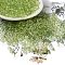 Transparent Colours Glass Round Beads, with Glitter Powder, Round Hole, Lawn Green, 4x3mm, Hole: 1.4mm, about 4500pcs/pound