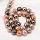 Faceted Round Shell Pearl Bead Strands BSHE-L012-10mm-L-5