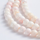Natural Pink Shell Beads Strands SSHEL-L016-18C-2