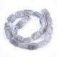 Natural Labradorite Beads Strands X-G-T121-13-3