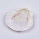 Beautiful Beach Sea Shells DIY-WH0044-01-3