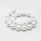 Chapelets de perles de coquille BSHE-P024-03-3