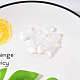 20 pz di ciondoli in vetro verniciato a spruzzo trasparente GLAA-YW0001-06-7