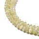 Brins de perles rondelles en coquille de troca naturelle SSHEL-H072-01A-3