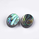 Abalone Shell/Paua Shell Beads SSHEL-T008-04-2