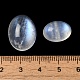 Natürliche Regenbogen-Mondstein-Cabochons&nbsp;G-NH0026-01A-3