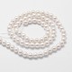 Chapelets de perles en coquille BSHE-L025-01-4mm-2