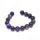 Natural Amethyst Beads Strands G-G791-11-A04-2