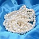 Chapelets de perles ronde de coquillage de couleur AB BSHE-L011-10mm-C001-2