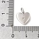 925 стерлингового серебра микро Pave прозрачные кубические циркониевые подвески STER-V001-01P-11-3