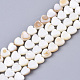 Coquille de trochid naturel / brins de perles de coquille de trocas SSHEL-N034-66-1
