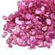 Perles de coquille SHEL-R020-03-1