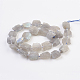 Chapelets de perles en labradorite naturelle  G-F568-018-2