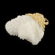 Dyed Natural Coral Big Pendants with Golden Plated Iron Findings CORA-R013-06-3