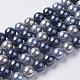 Chapelets de perles en coquille BSHE-L018-25-10mm-1