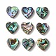 Abalone shell / paua shell beads SHEL-T005-01-2
