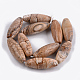 Natural Picture Jasper Beads Strands G-S278-42-2