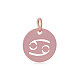 304 Stainless Steel Charms STAS-Q201-T445-4R-1