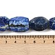 Natürlicher Lapislazuli Perlenstränge&nbsp;G-F796-C01-01-5