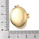Подвески латуни медальон KK-D431-030C-G-3