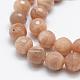 Chapelets de perles de sunstone naturelle naturelles G-P322-24-10mm-3