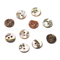 Conchiglia abalone / conchiglia paua&nbsp;BSHE-I011-04D