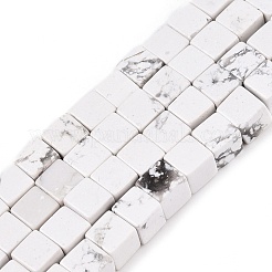 Природные Говлит бисер нитей G-T139-6x6-02A