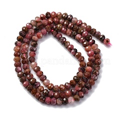 Perline Rhodonite naturale fili&nbsp;G-G139-B15-01