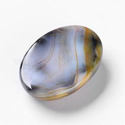 Естественный дракон вен кабошоны&nbsp;G-F296-05-18x25mm