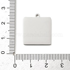 Pendentifs en acier inoxydable 304&nbsp;LS-SA-E001-08P