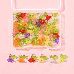 Colgantes de acrílico transparente 50pcs&nbsp;PALLOY-FS00043-06