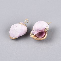 Galvanisierte Anhänger aus natürlichen Muscheln&nbsp;BSHE-Q020-02