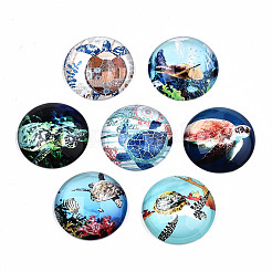 Cabochons di vetro&nbsp;GGLA-S036-20A