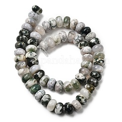 Натурального дерева агат бисер нитей&nbsp;G-A280-A04-03