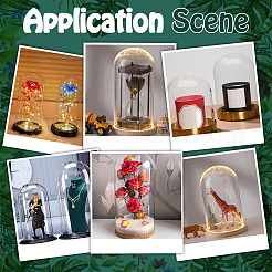 Стеклянные крышки купола cloche&nbsp;AJEW-WH0696-225A-02