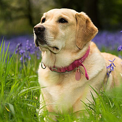 2шт 2 цвета брелок из искусственной кожи pu&nbsp;KEYC-CL0001-05