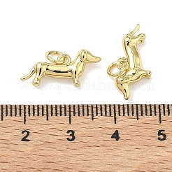 Латунные подвески&nbsp;KK-G555-01G-01