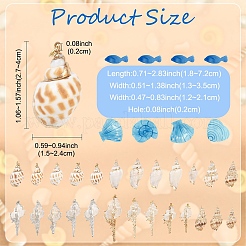 5 шт. подвески из натуральных спиральных ракушек с гальваническим покрытием&nbsp;BSHE-YW0001-09