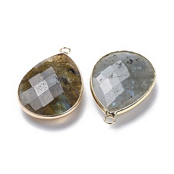 Граненые подвески природного лабрадорита&nbsp;G-M356-B02-LG
