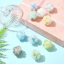 10шт 10 цвета бусины из смолы&nbsp;RESI-FS0002-24A