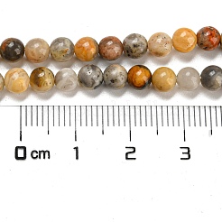 Натуральные сумасшедшие кружевные агатовые круглые бусины&nbsp;G-M272-03-4mm