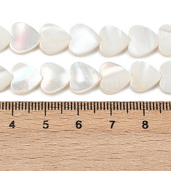 Нити бусин из натуральных пресноводных ракушек SHEL-K010-04