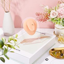 Мягкий силиконовый язычок гибкая модель дисплея части тела с акриловыми подставками&nbsp;ODIS-WH0002-23