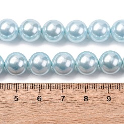 Perles de perles de coquille galvanoplastie&nbsp;BSHE-G041-10mm-03