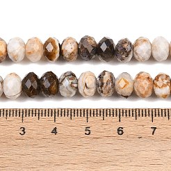 Природные окаменелое дерево бисер пряди&nbsp;G-C259-A29-5x8mm